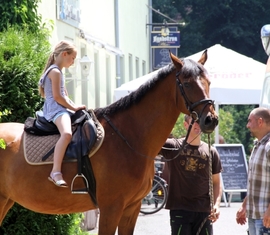 Pferde reiten war ebenfalls am Sonntag möglich