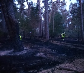 Brandschutzeinheit des Landkreises Spree-Neiße zum Waldbrand nach Treuenbrietzen