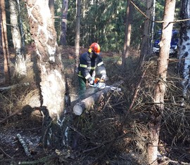 Sägearbeiten von Windbruch