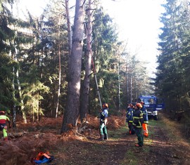 Anschlagen eines Rückhängers am Waldwegrand