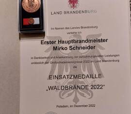 So sieht die aus, die Waldbrandmedaille