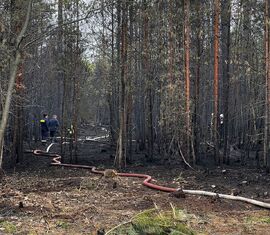 Nachlöscharbeiten am 3.Mai - Bild Mitte:  stellv. KBM Mathias Voigt
