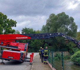 Sieht gefährlich aus, aber wenn man das Gerät beherrscht, kein Problem.