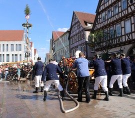 Handdruckspritzengruppe aus Terpe belegt 3. Platz bei den Landesmeisterschaften in Baden-Württemberg