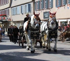 Handdruckspritzengruppe aus Terpe belegt 3. Platz bei den Landesmeisterschaften in Baden-Württemberg